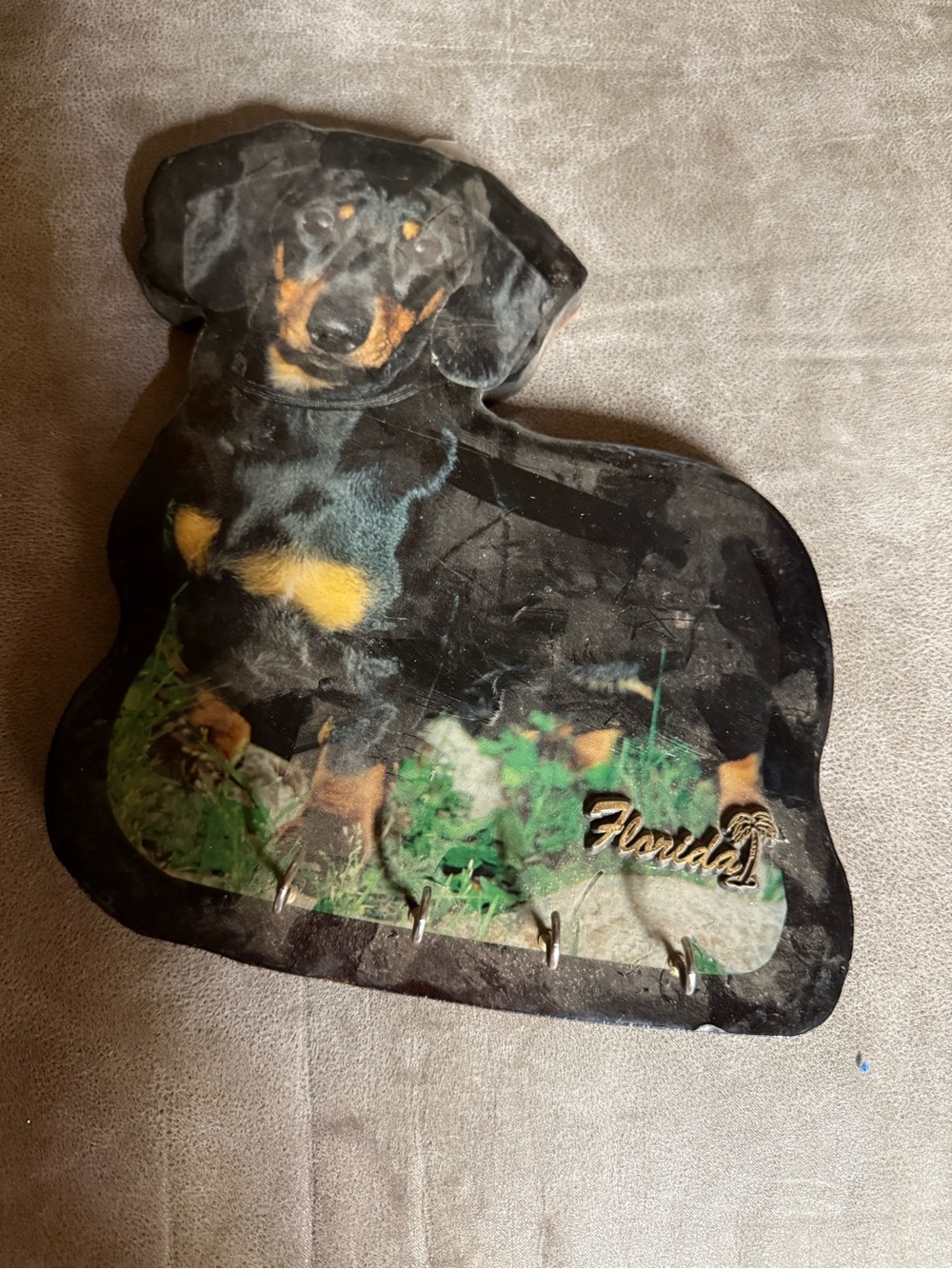 Dachshund Dog Key Holder - 'Florida' Accent